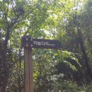 돌묘와꽁돌 티스토리