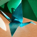 도전 종이접기 자격증 이미지