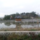 대곡농업협동조합 이미지