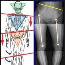 가평튼튼정형외과의원 이미지