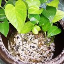 윤미용실 이미지