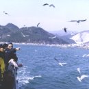 대성 여인숙 이미지