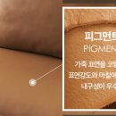 레이디가구 이미지