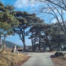 [공지] 경북 문경 겨울여행코스