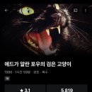 에드가 알란 포우의 검은 고양이 이미지