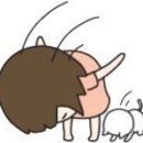 한도볼링
