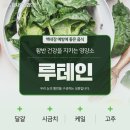 미시안안과의원 이미지