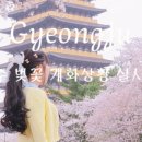 대추밭길60 이미지