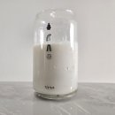 태영안전 주식회사 | 저당음료추천 코코온 코코넛밀크 드링크 후기