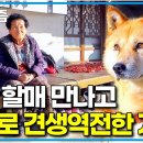 견생 역전한 동경이 이미지