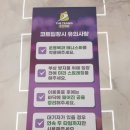 테니스존