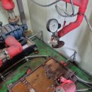 가나무로 이미지