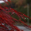 수분령휴게소 이미지