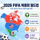 나라보링 | 2026 월드컵 한국 체코전 완벽 정리, 축구도, 공구도 체코를 얕보면 안 되는 이유