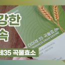 더에프앤씨 이미지