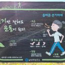 사로교