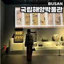 부산 영도 가볼만한곳 국립해양박물관 기획 전시 입장료 입장시간 방문 후기