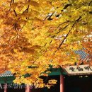 명륜당