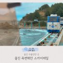 죽변북로 (중2-1) | 울진 가볼만한 곳 죽변해안 스카이레일 탑승후기, 가격, 운행시간