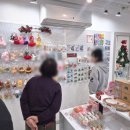 댄싱도그 | 부모님까지 모두가 좋아할 소품샵.. 여수 선물 소품샵 카멜리아문 후기(주차, 상품, 여수 술, 여수 기념품)