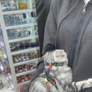 동구종합동물병원 이미지