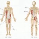 짐에브리원 이미지