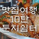 둔지 티스토리