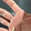 크로스핏시그넷 이미지