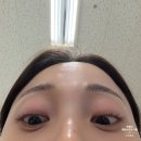 슈랑 | 잠실 속눈썹펌 슈랑브로우 슈레브래쉬 노글루 눈썹 후기