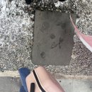 푸드마켓 월곡점 이미지