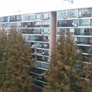 아란유치원 이미지