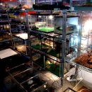 지호농장 이미지