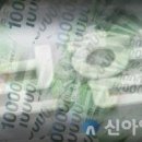 단독] 빅5 손보사 무·저해지 보험료 평균 25.4% 인상…DB 37% 최고 이미지