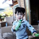 쉬자트리하우스 이미지