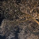 은파호수공원 9-7 이미지