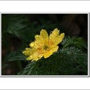 월문1리 이미지