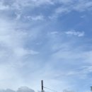 쇼어컴퍼니 이미지