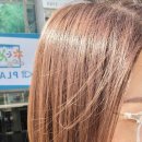 샴푸보이 헤어샾