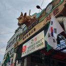 마장동 한우 소고기 내돈내산, 세영축산 숯불탁탁