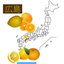 은혜과일야채 이미지