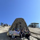 등마루김밥 이미지