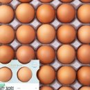 우리집반찬도시락 이미지