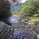 별천계곡 Daum카페