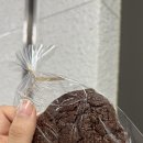 오시랑옷이랑 이미지