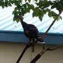 가족사랑체험펜션 이미지