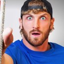 불카드PC 이미지