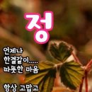 희망의아침 Daum카페