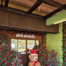 수양1길 | 사천 신상 카페 애견동반, 아이랑 가기 좋은 빅베이글 내돈내산 후기 | 눈 내리는 시간