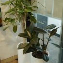 이지수학학원 이미지