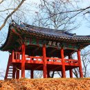 공산성 이미지
